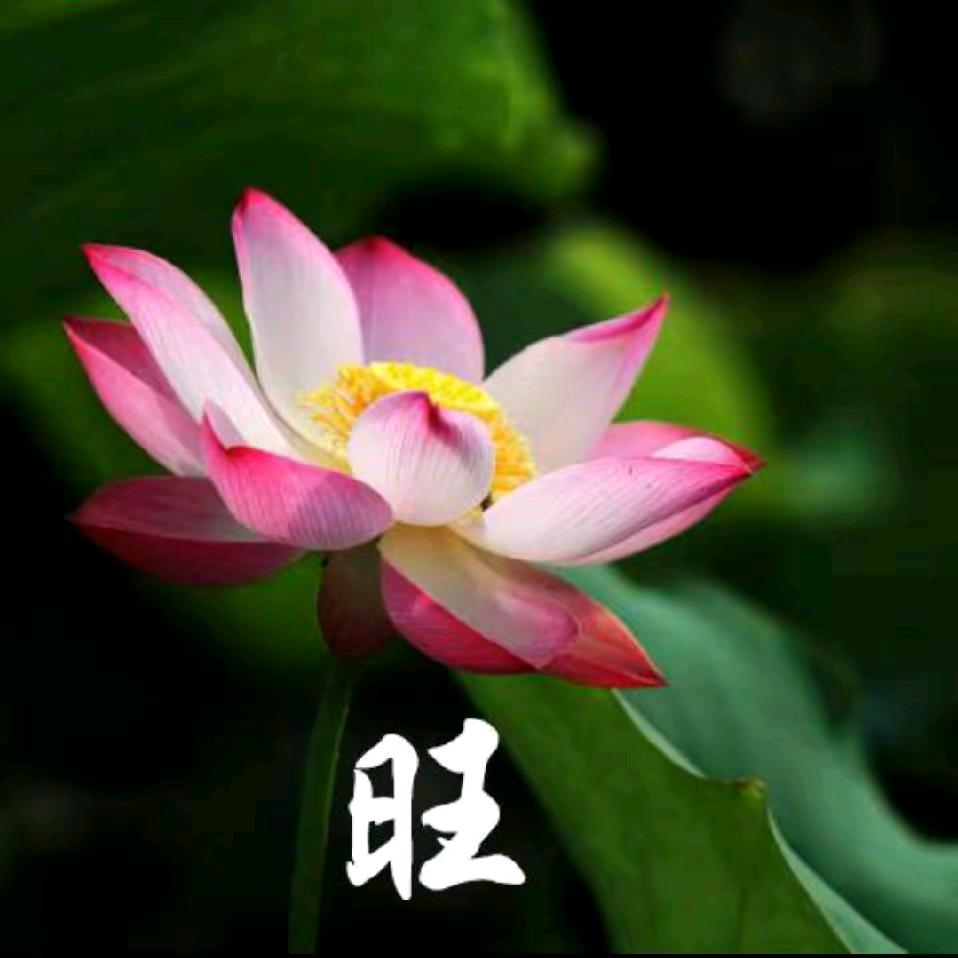 美丽人生😊