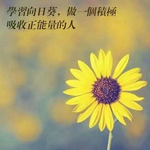 绚丽沫雪。