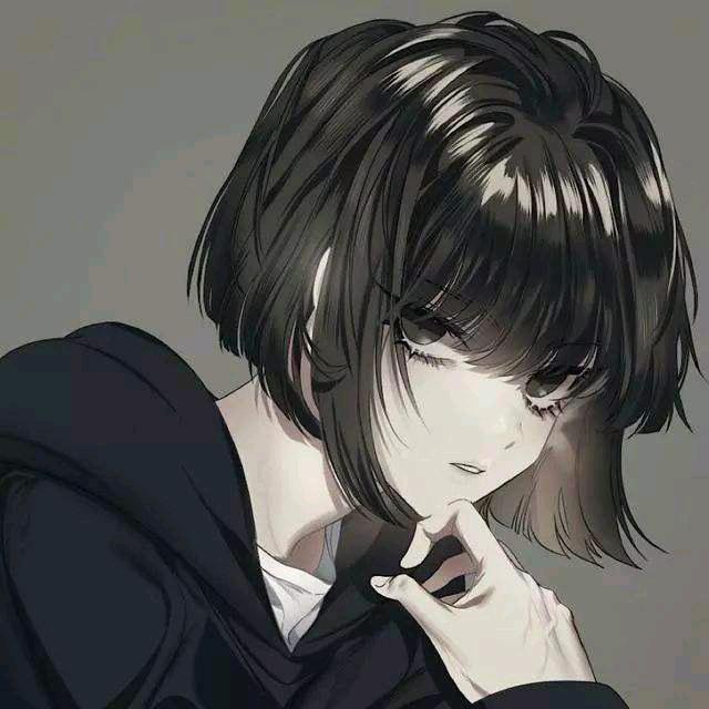 停止运转的北极星