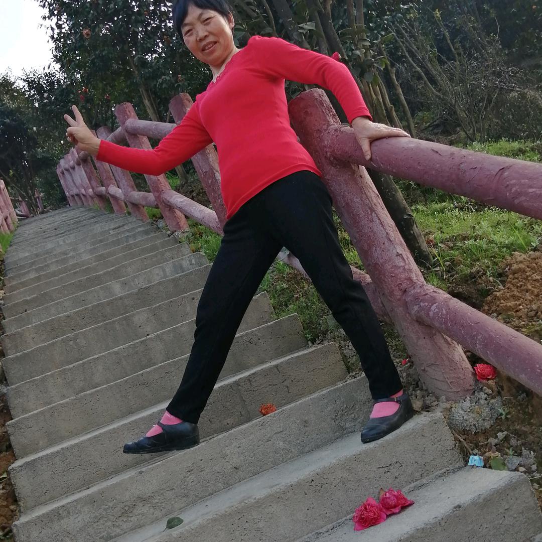 何二姐