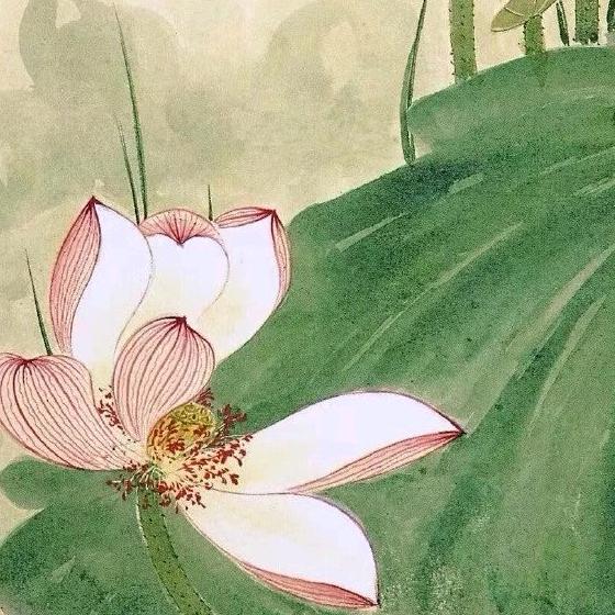 第柒页的思念