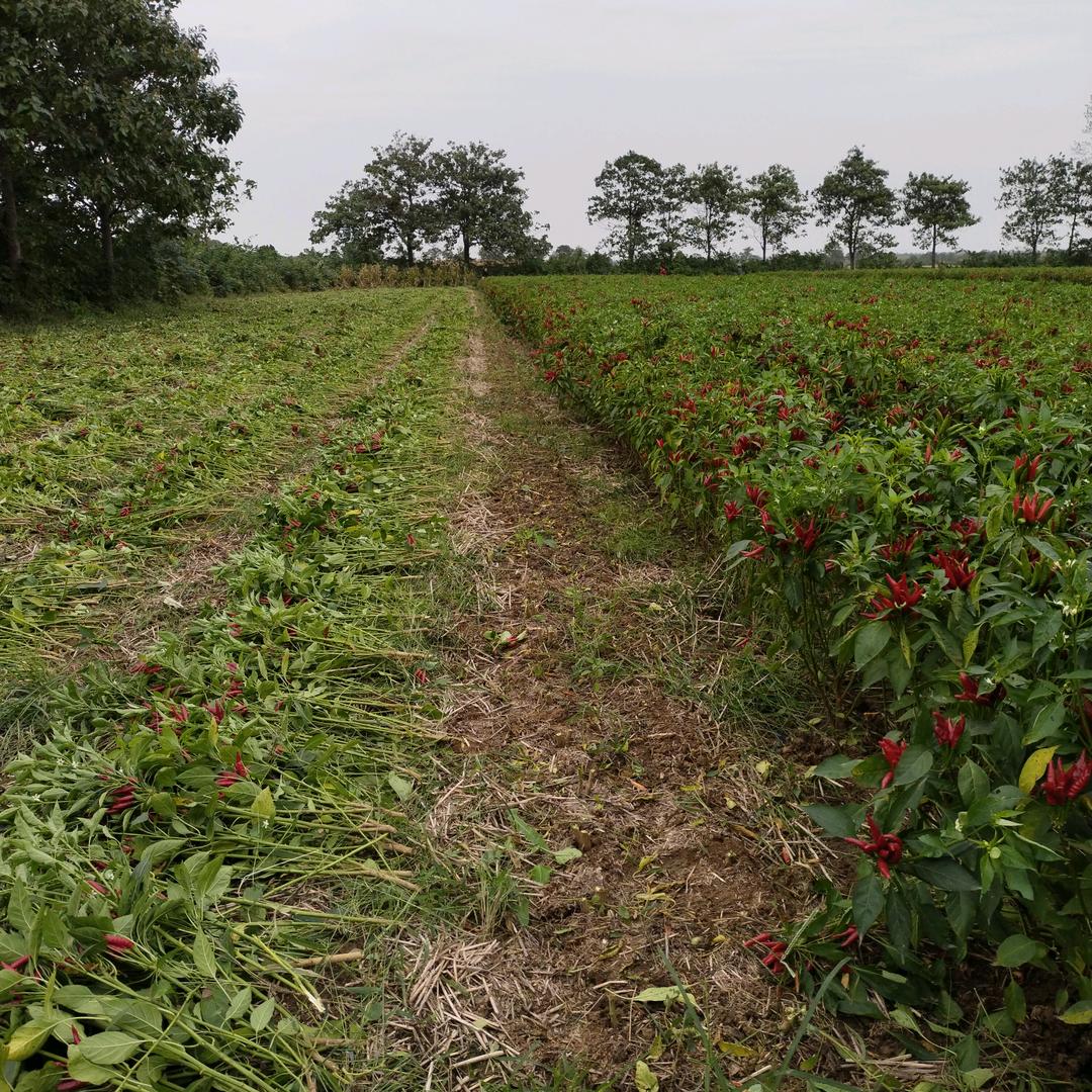 家和万事兴99410