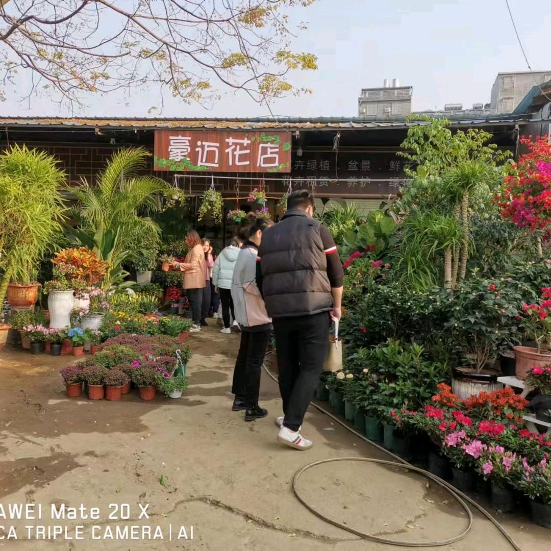 贵港市港北区豪迈花店的小店个体店