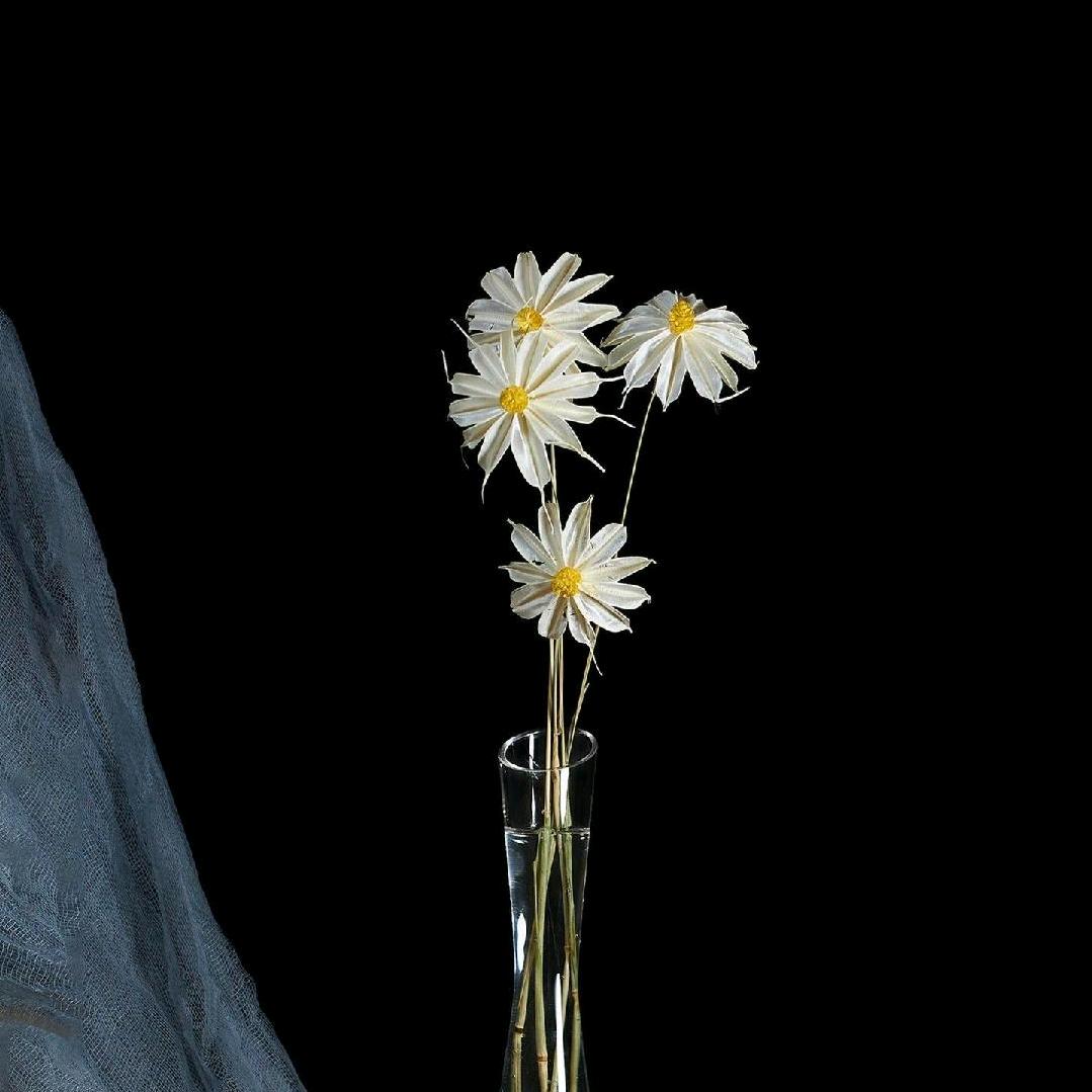 只是水月镜花