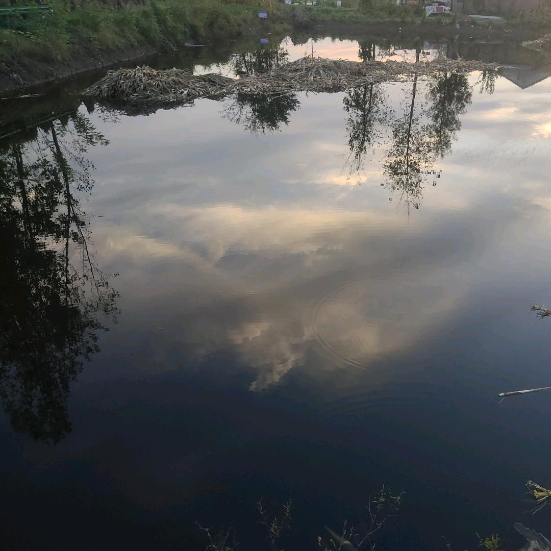 三岁8号生日(胡辉)