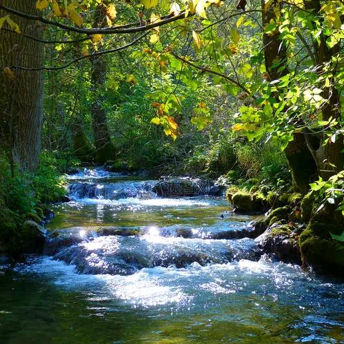 Lure🐠溪水旁🐠