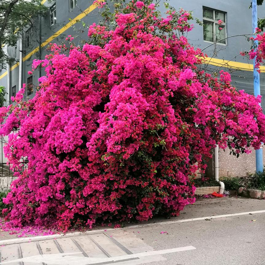 ༄ོ࿆用心᭄ꦿ꯭珍ᩚ惜你᳕᳡࿐