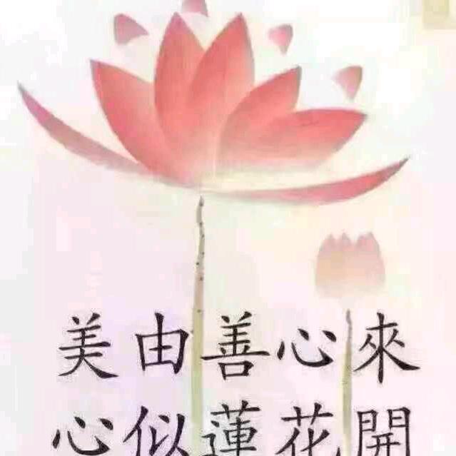 沭阳大明说车