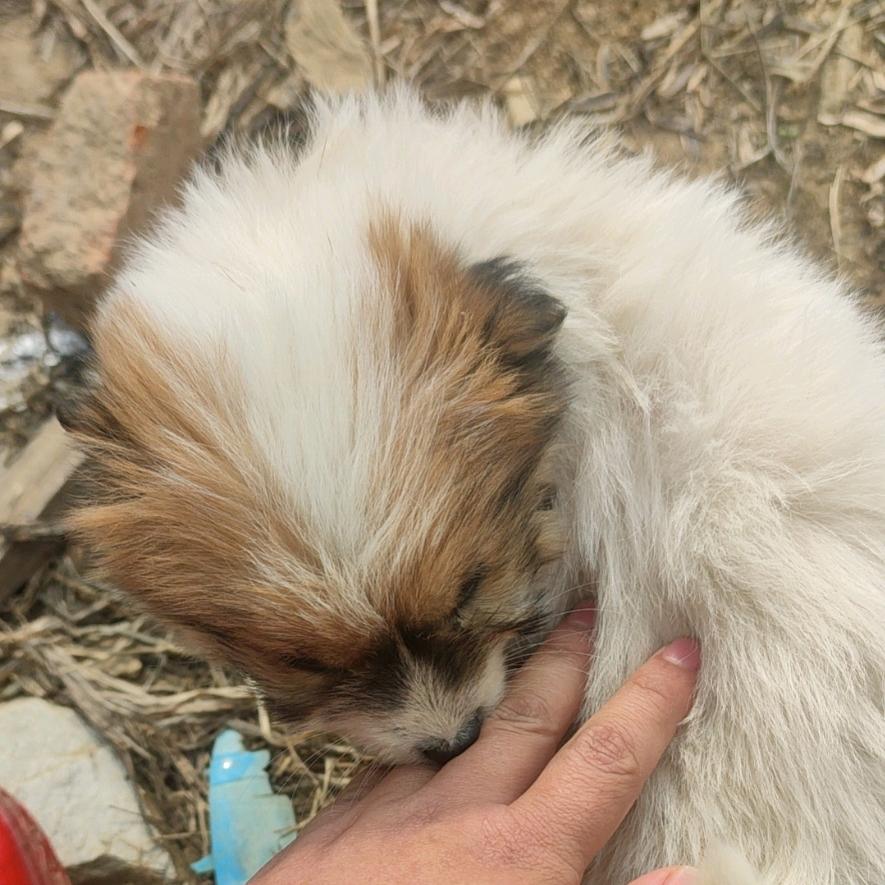 疯心❤️