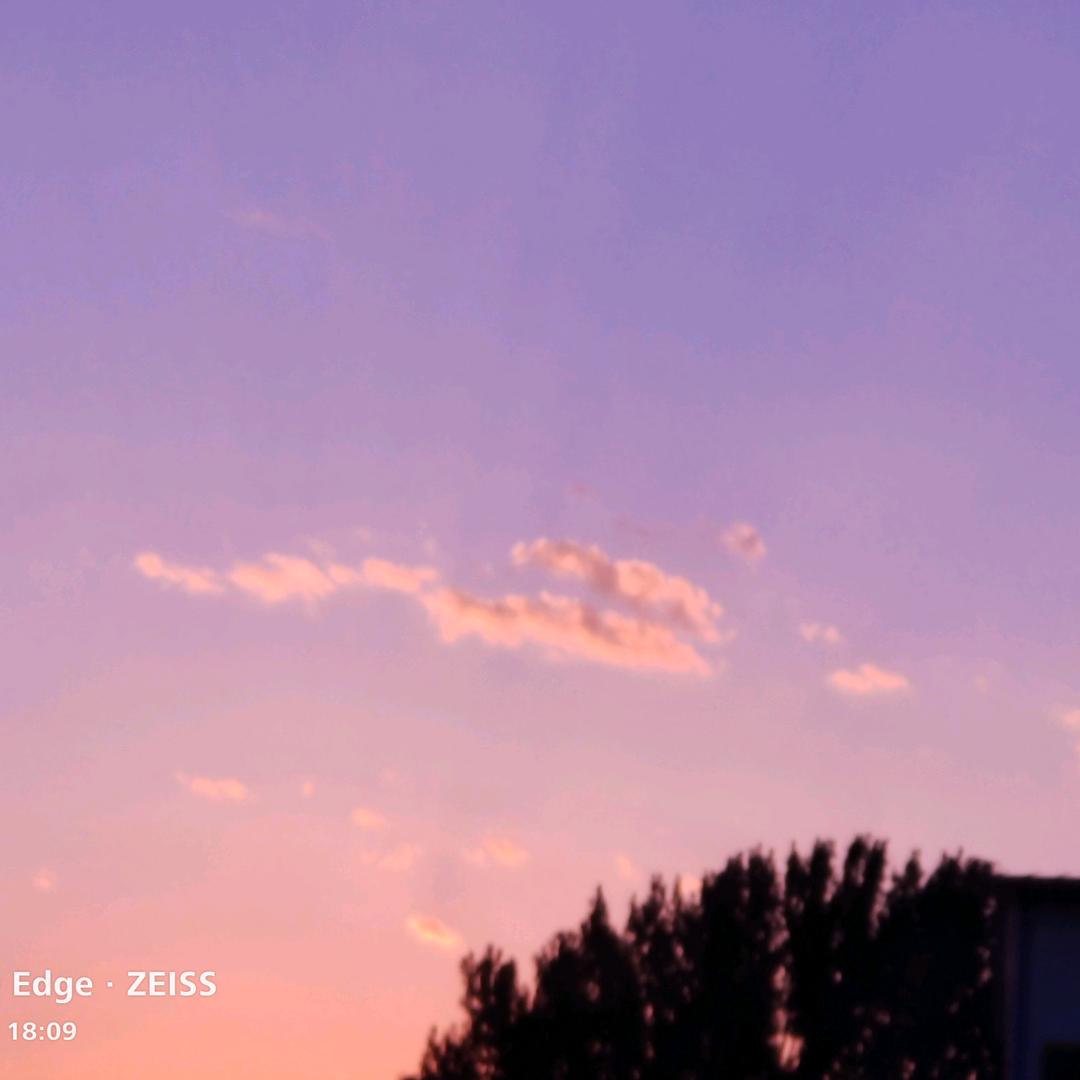 古月( ｡• 👅 •｡｀)