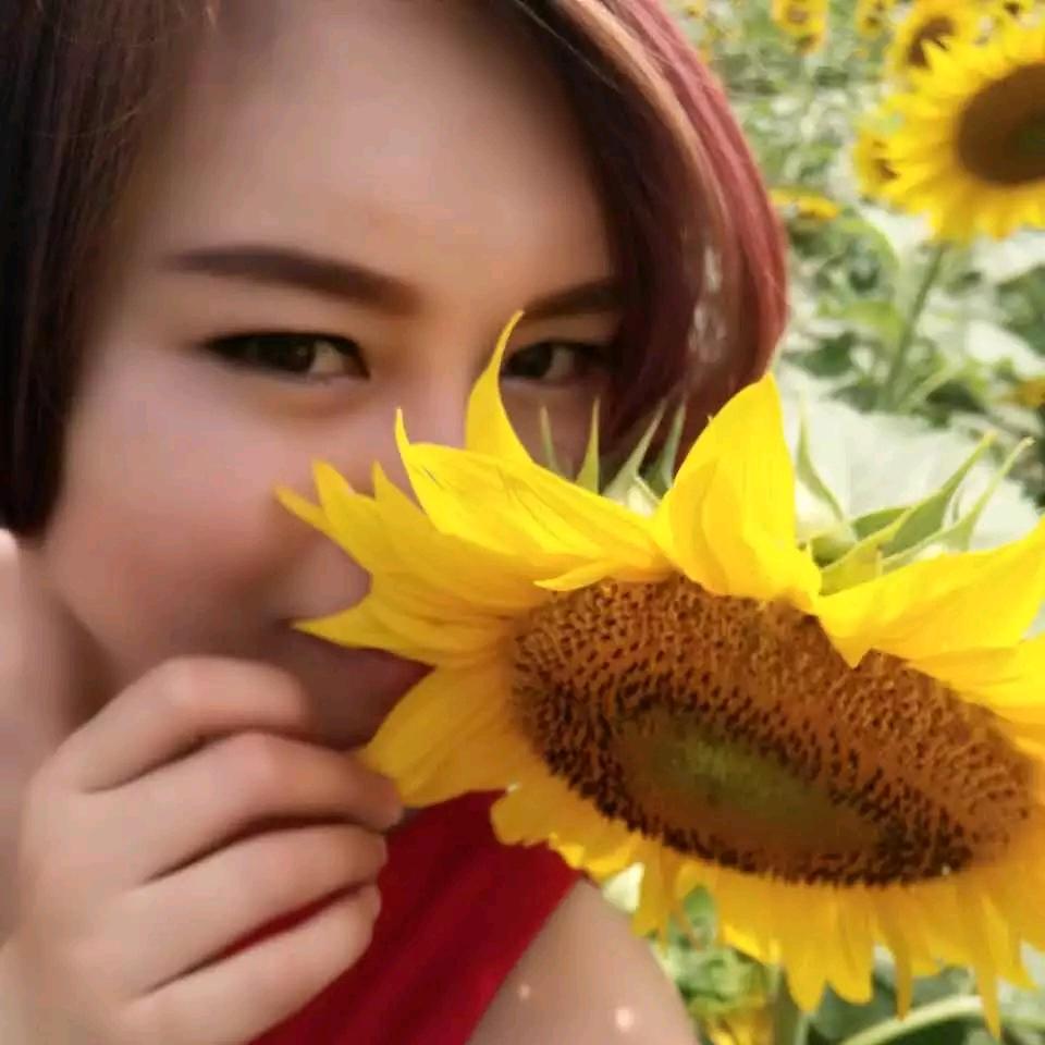 德丽撒