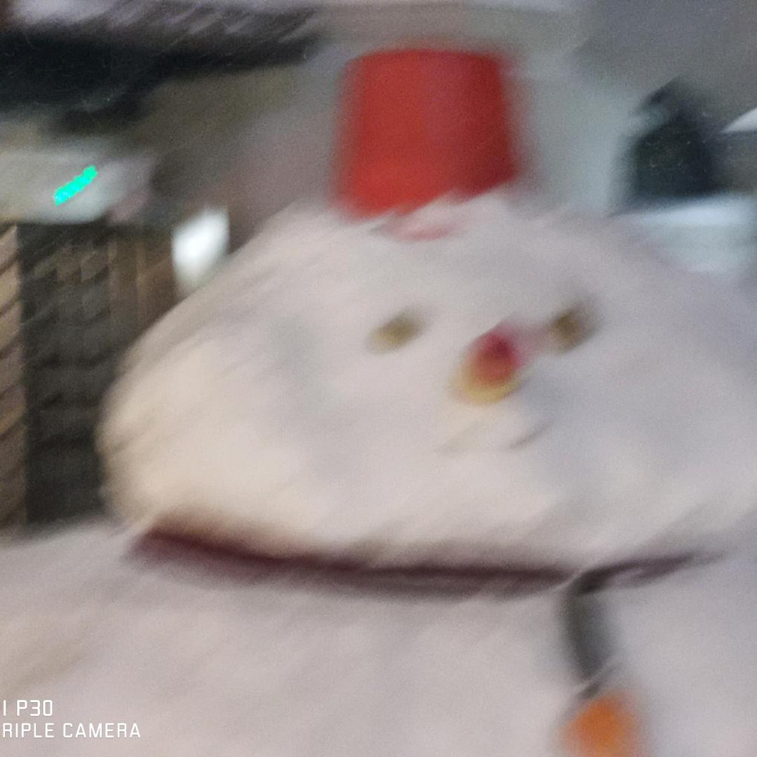 快乐至上