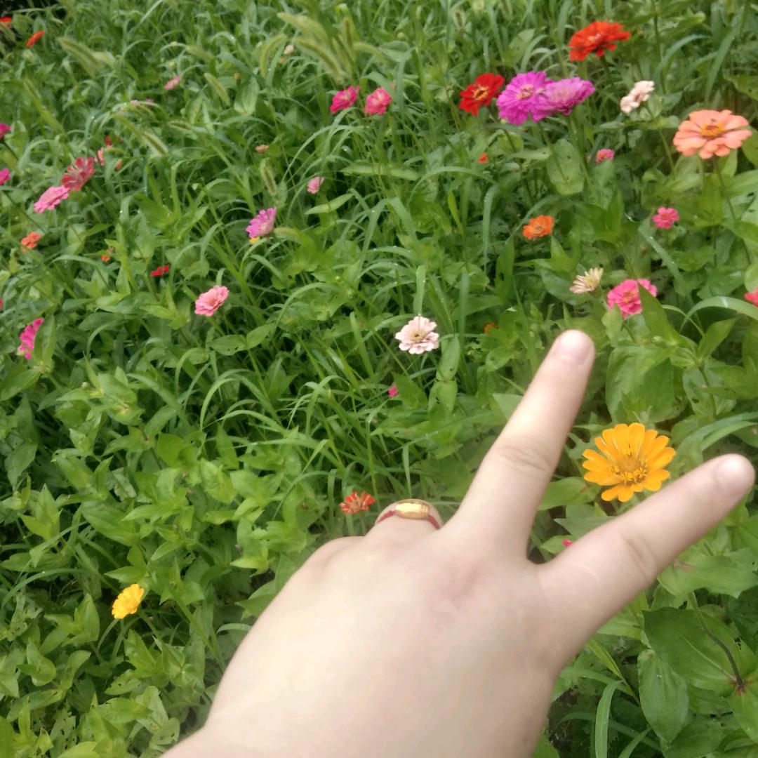 💑👄小辣椒💅
