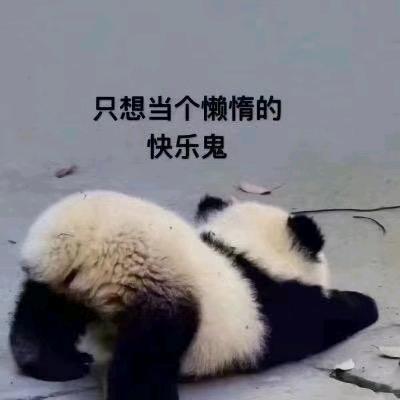 小十六