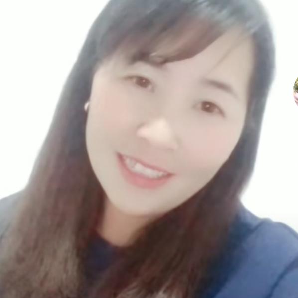 云宝