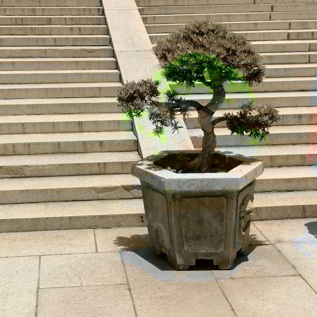 对方正在输入中