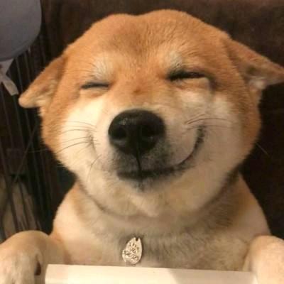 就叫小灰