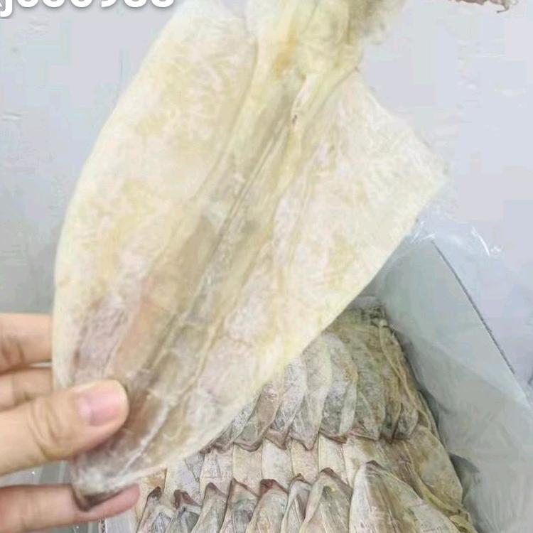 广州粤凯鱿鱼干批发~全国包邮