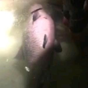 千岛湖耕云钓月民宿官方号