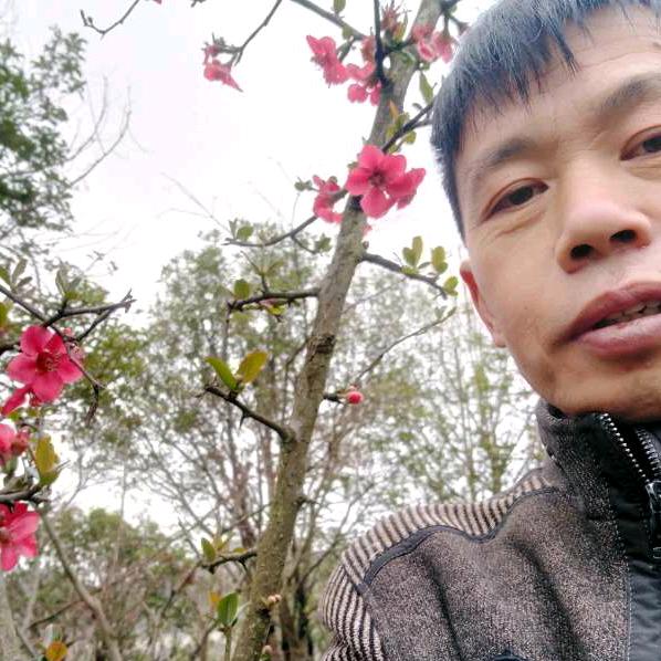 文冲哥