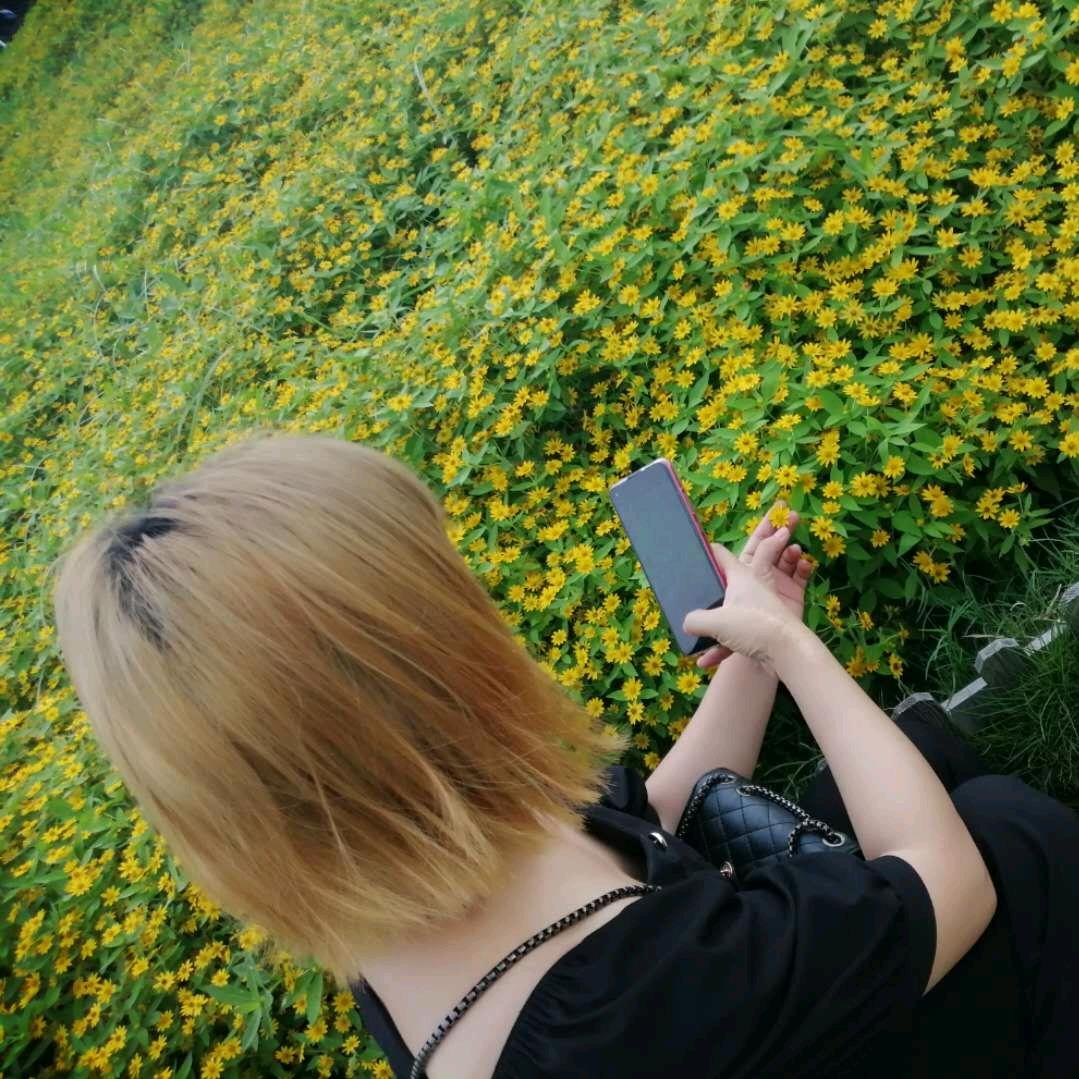 木子M