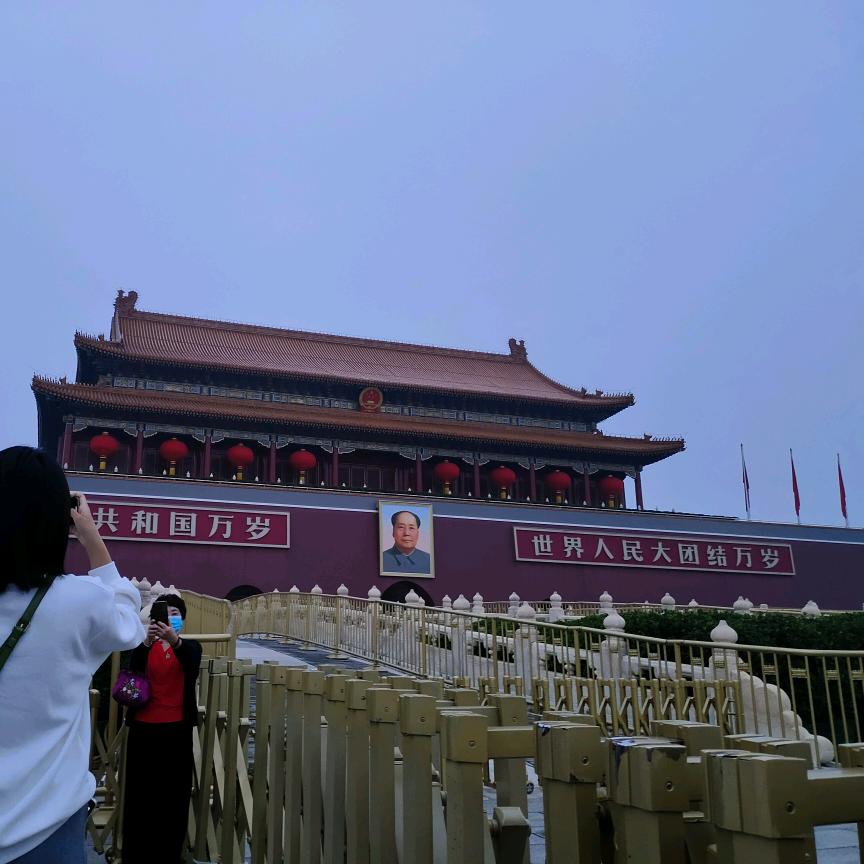 老杨666