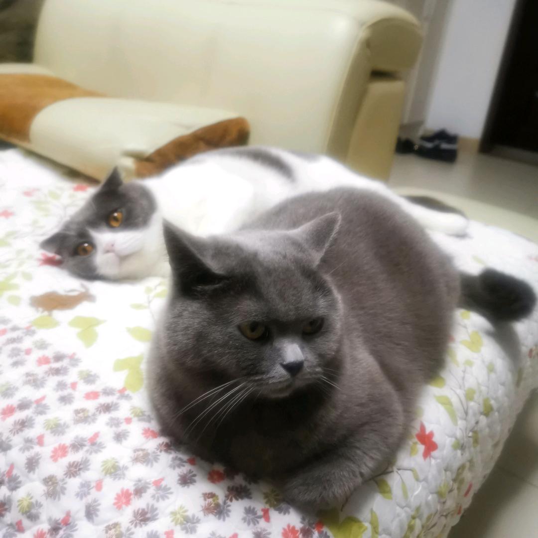 Auntchen_hk