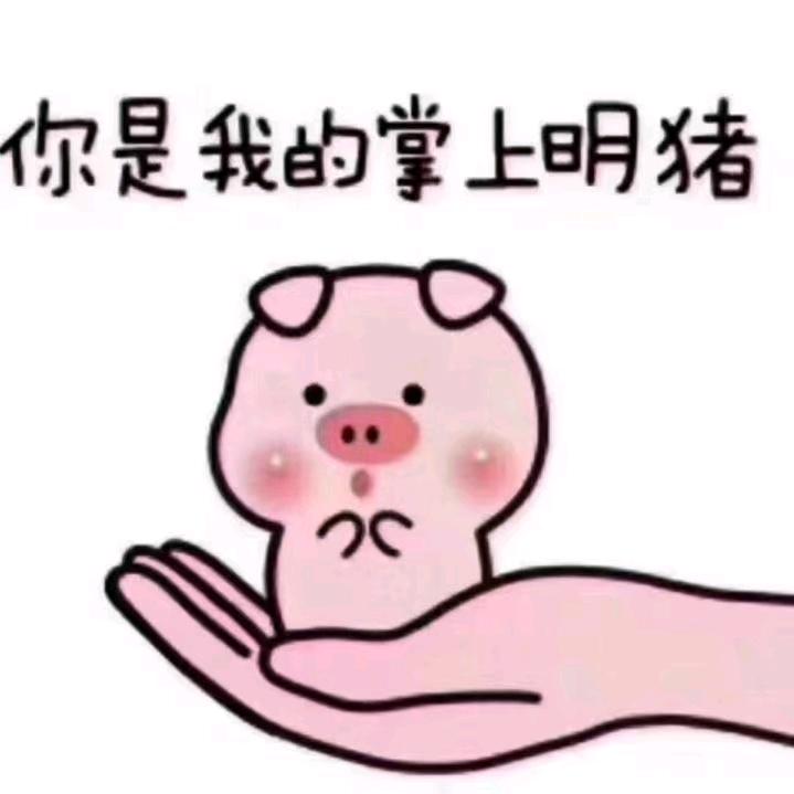 村里有个姑娘叫小芳