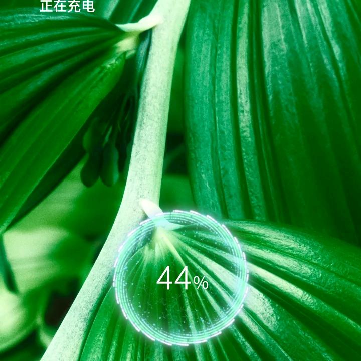 华山