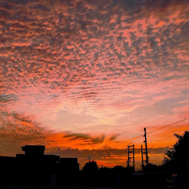 *:ஐ阳٩(๑´ᵕ`)۶光ஐ:*