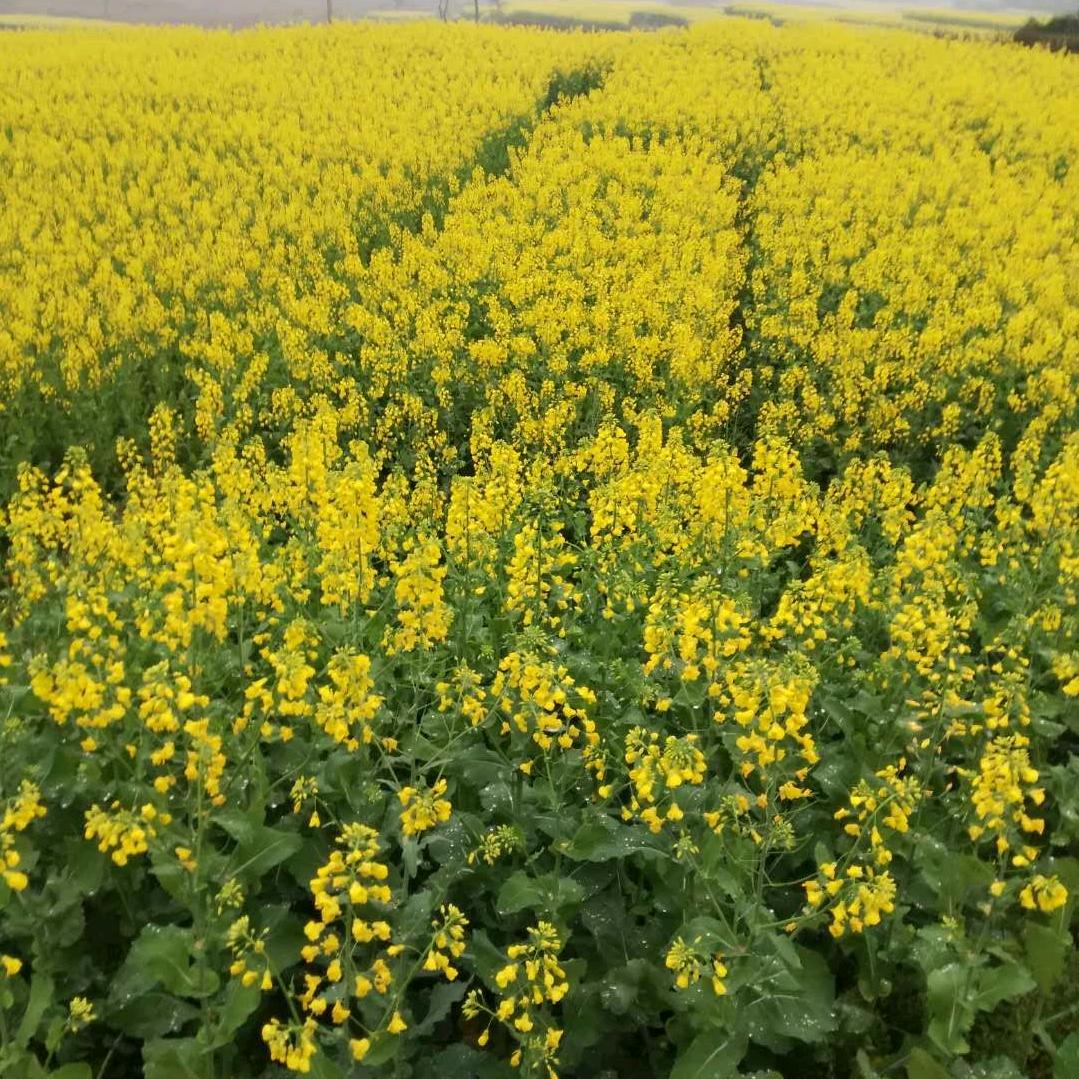 💖一生💖随缘💖