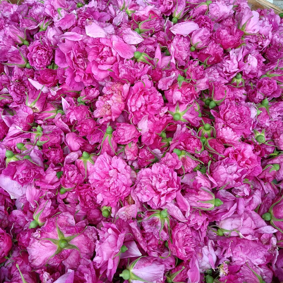 敢问路在何方？