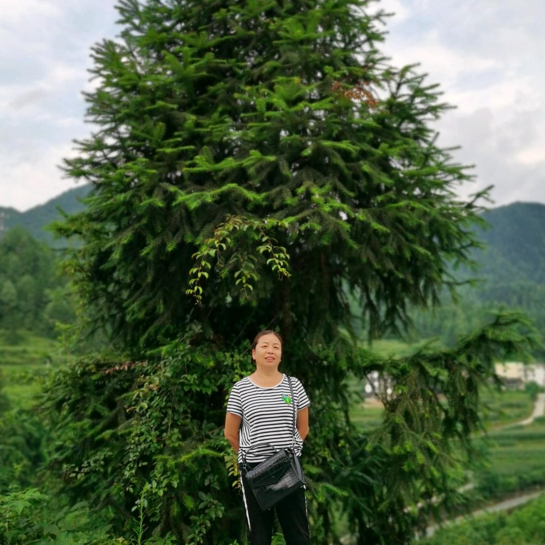 黄都镇三姐豆花烤鱼