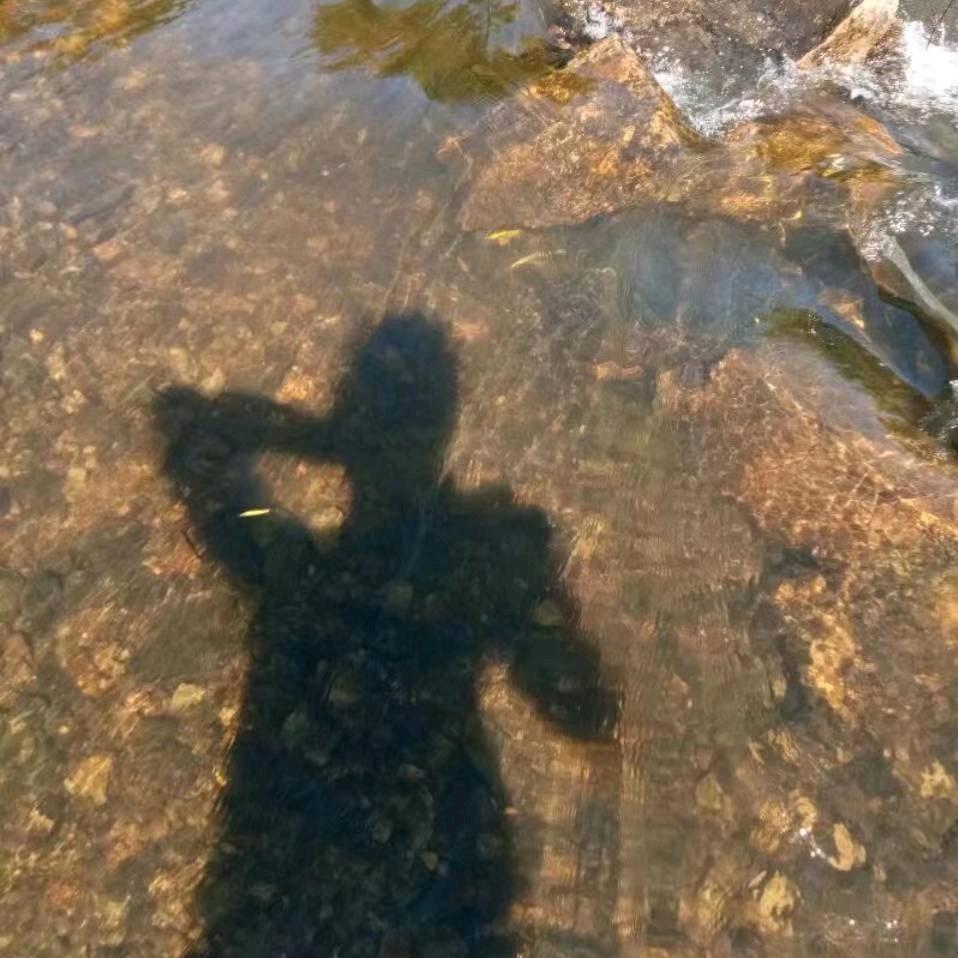 დ