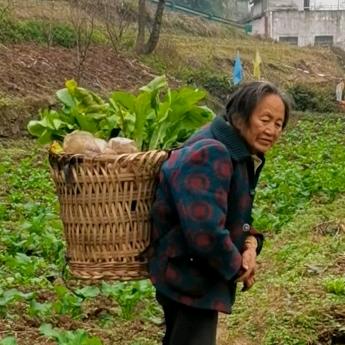 妈妈的乡村生活