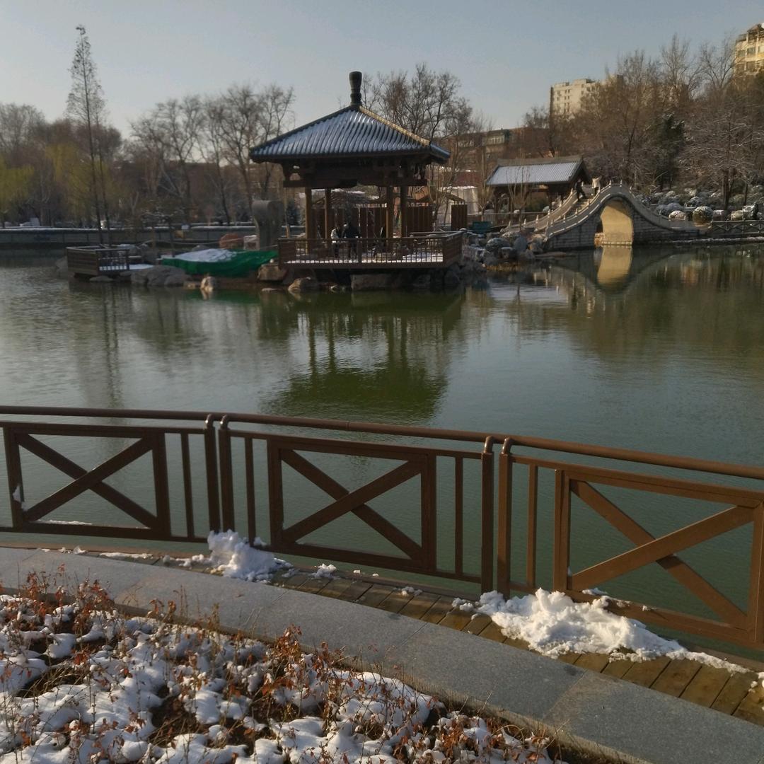 不紧张的山东大哥