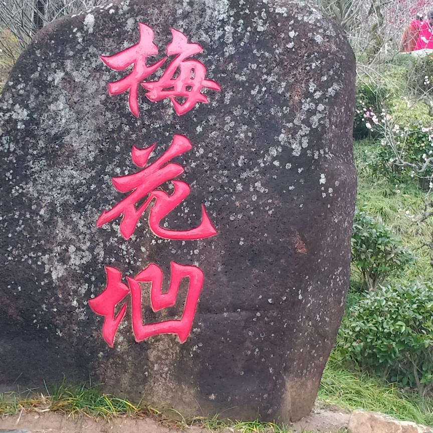 英子