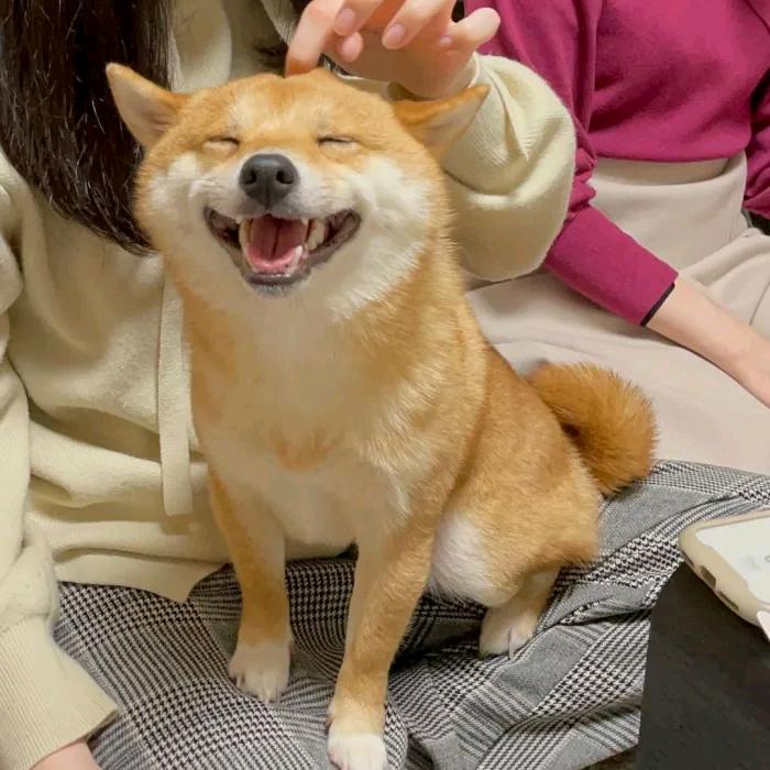 晚安文学缔造家