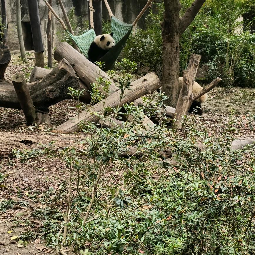 刮腻子的，大白工