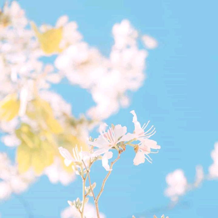 专业安装隐形门