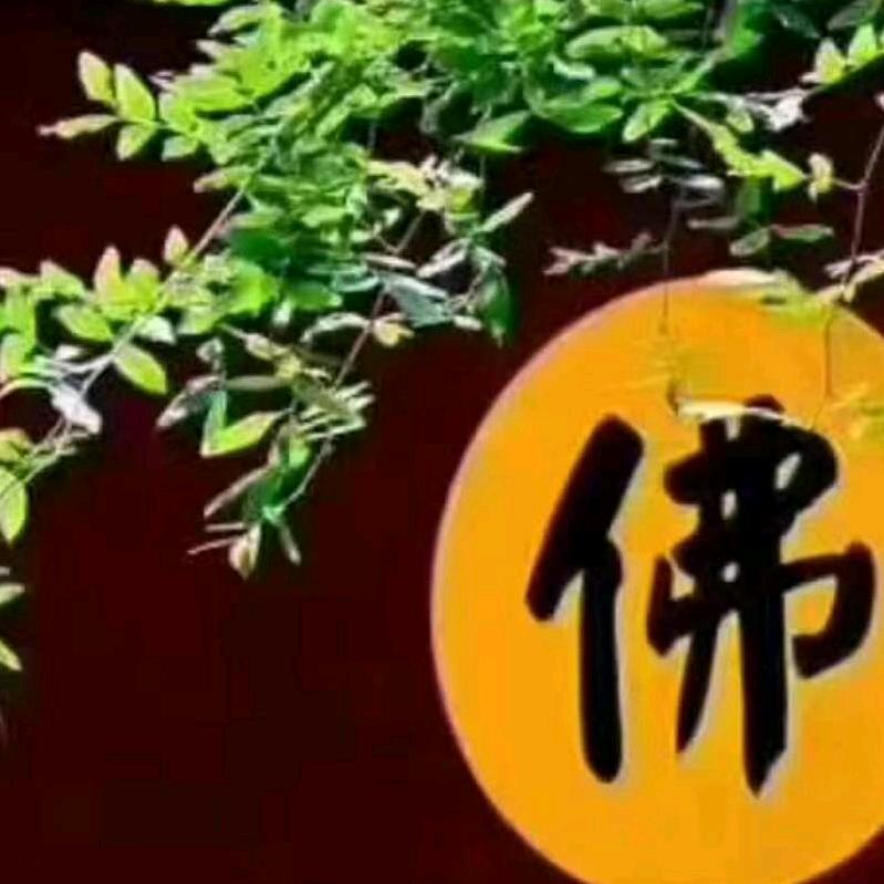 宇露