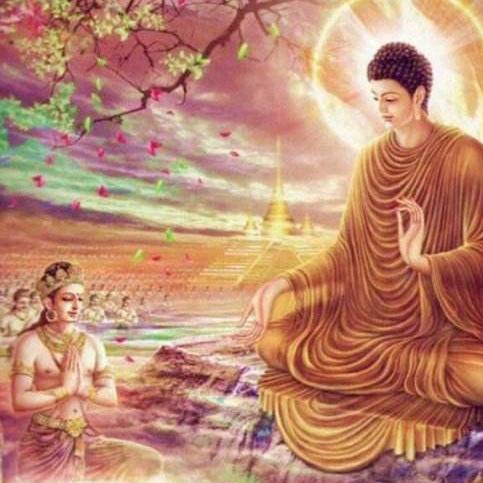 胖丫头👨‍👩‍👧‍👦