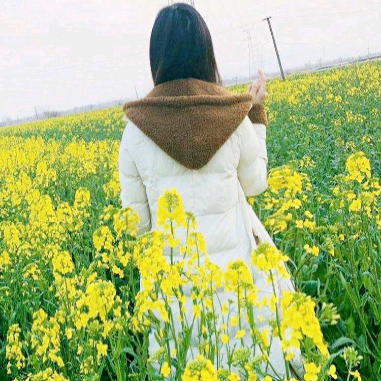 梦幻