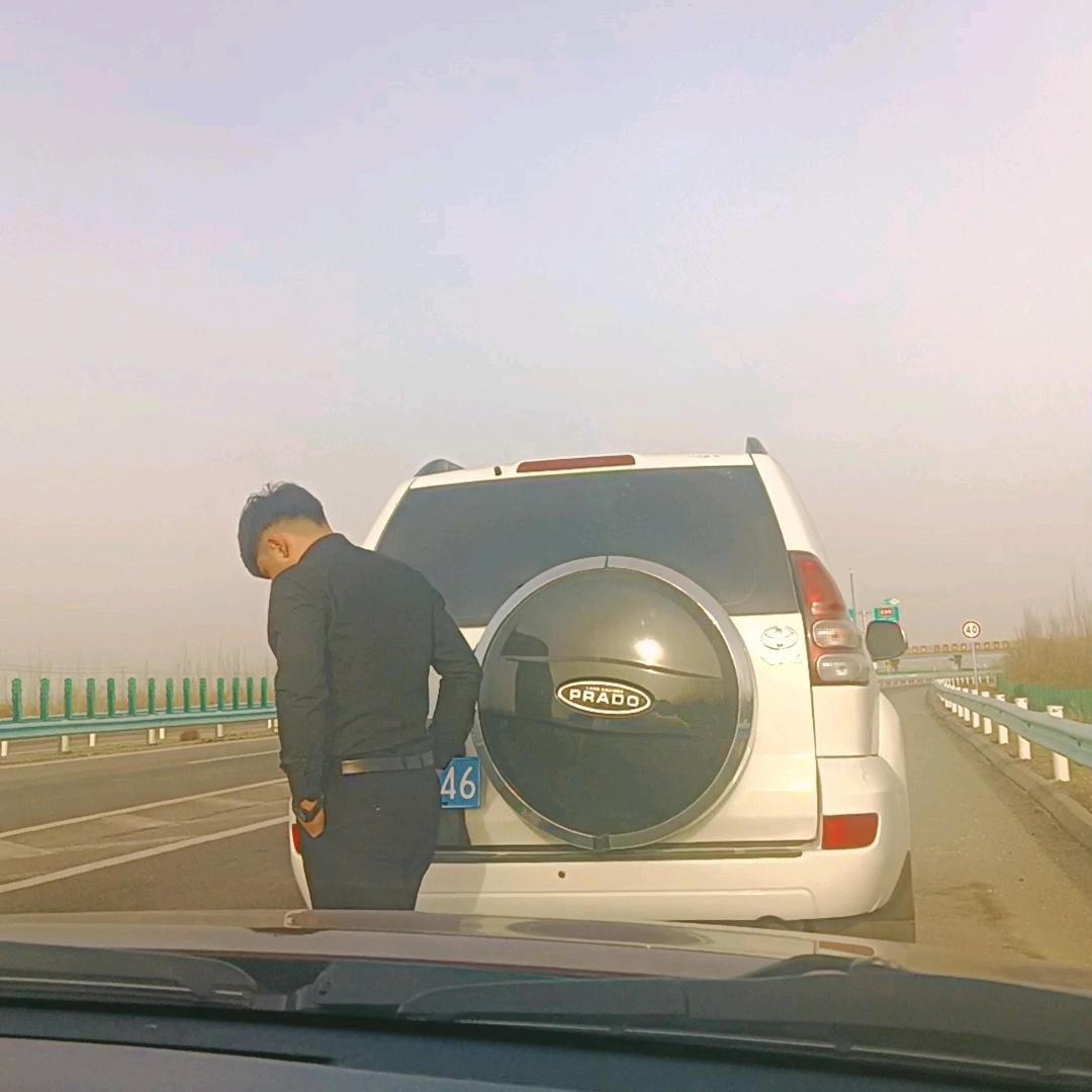 艾比布拉。