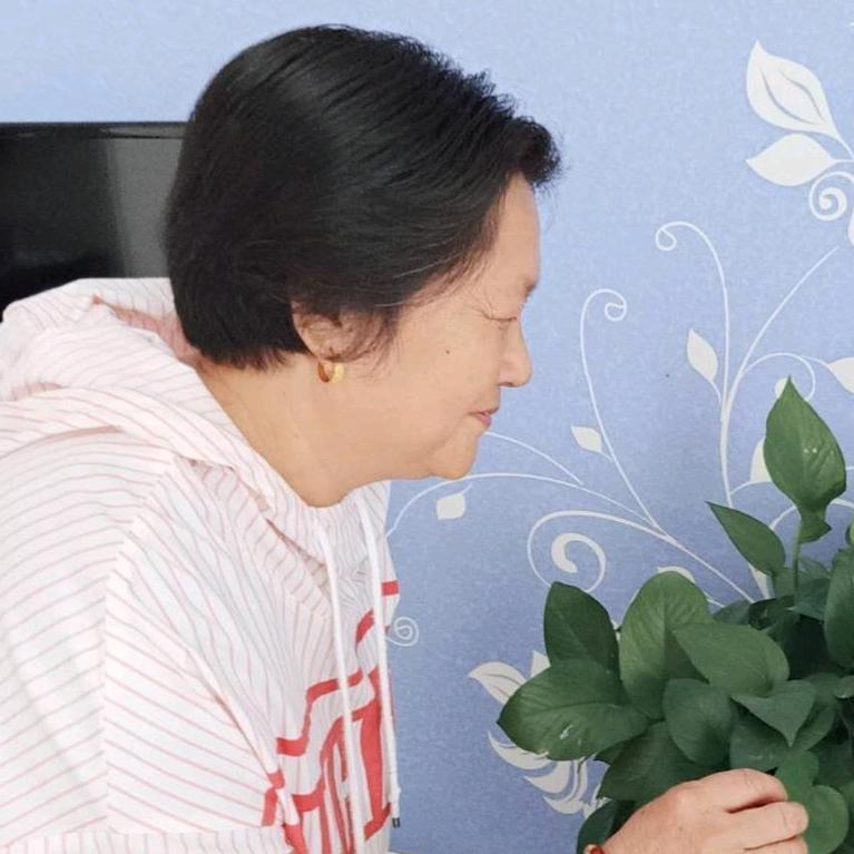 兰花🌸