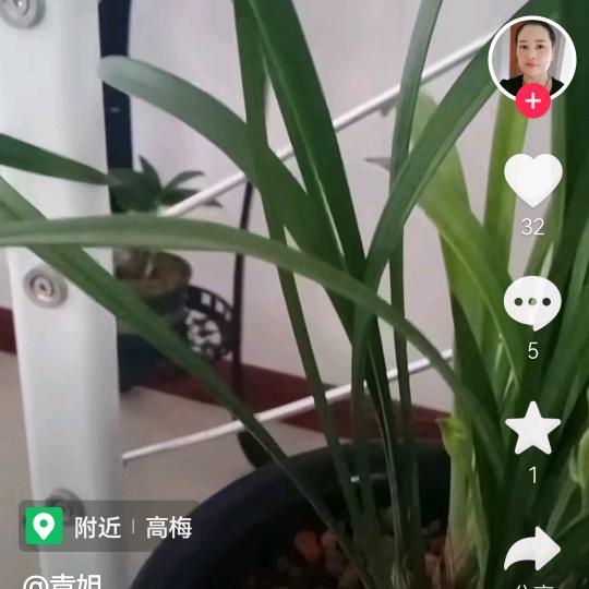 千里马识途。