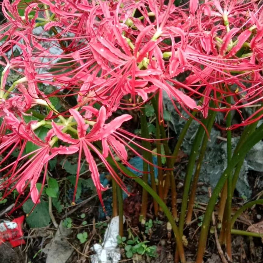 坚持信念