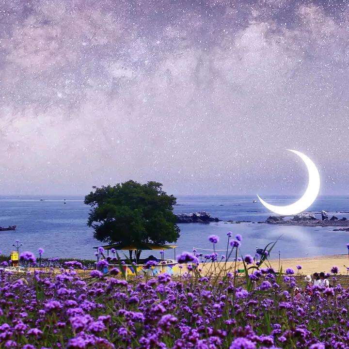 你真我更真你假我转身