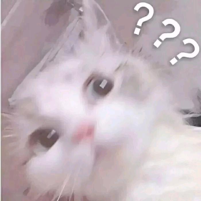 爱吃薯条的小杨🍟