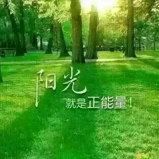 享受阳光